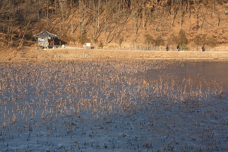 jezero, Příroda, krajina