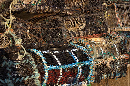 αλιευτικό δίχτυ, Ψάρεμα, δίκτυο