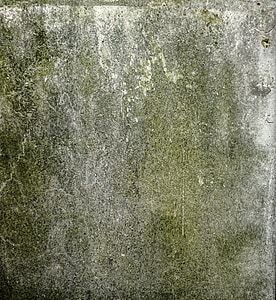 muffa, parete, verde, fungo, pietra
