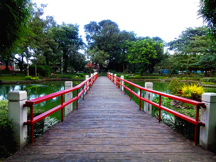 Японський сад, парк, краєвид, японська, сад, Природа, Азіатська