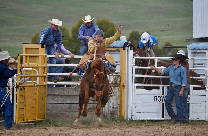 Cowboys, bronc rider, Rodeo, Bronco, hobune, mees, bucking
