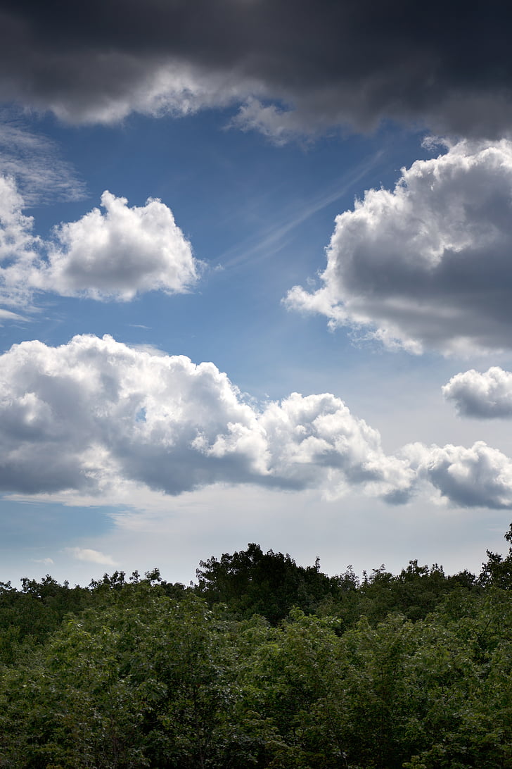 clouds, landscape, nature, sky, summer, trees, tree