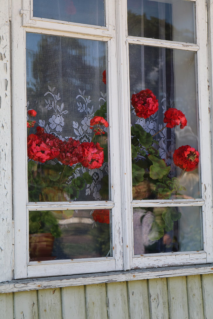 window, trakai, lithuania