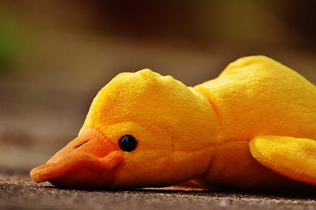duck, funny, soft toy, toys, children, cute, play
