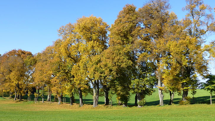 Allgäu, podzim, listy, stromy, barevné