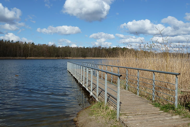 nature, lake, landscape, germany