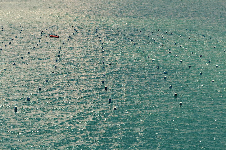 photo, black, buoys, ocean, sea, water, wave