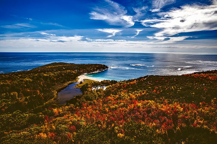 Bar harbor, Maine, kritums, rudens, krāsains, skaists, jūra