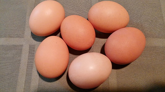 eieren, bruin, voedsel, shell, ovaal, kip, voeding