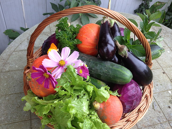 harvest, vegetables, food, nature, bio, market, vegetable garden