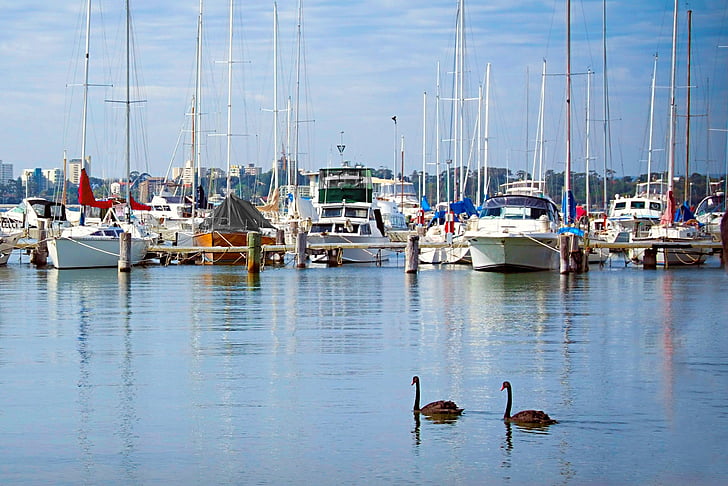 matilda bay wa right, boats, blue, reflections, water, river, vacation