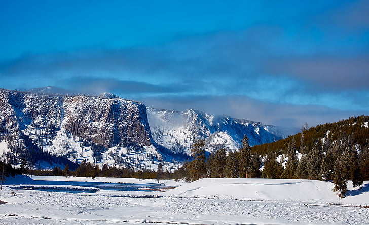 Jeloustonas, Nacionālais parks, Wyoming, ziemas, sniega, ainava, daba