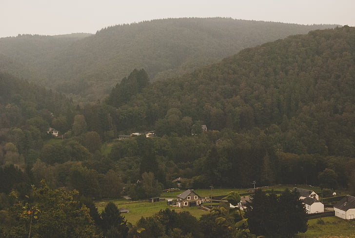 Areal, näkymä, House, lähellä kohdetta:, Mountain, Metsä, maisema