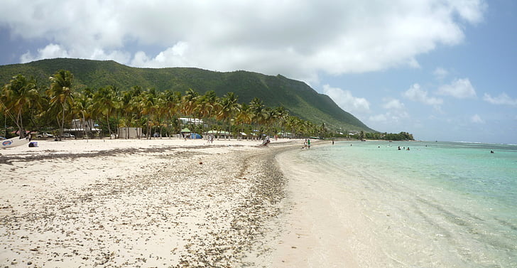 Дезирад, Вест-Индия, Гваделупа, пляж, песок, Кокосовые пальмы, Карибское море