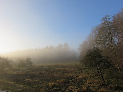 morgenstimmung, fog, landscape, haze, autumn, nature, meadow