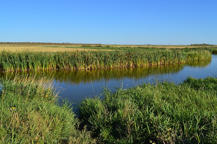 Creek, agua, pradera, cielo, Saskatchewan, naturaleza, paisaje