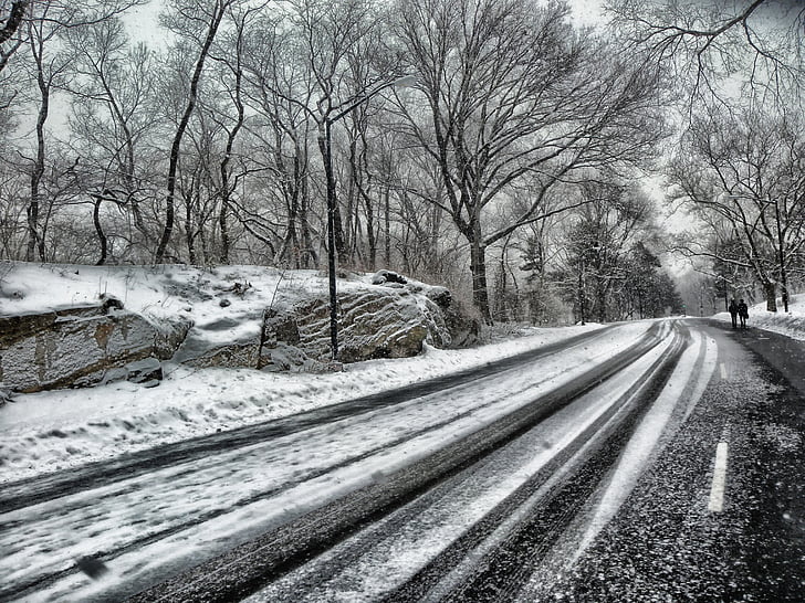 Central park, New york city, weg, bomen, winter, sneeuw, rotsen