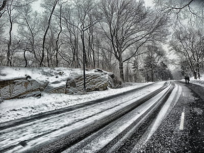 Центральний парк, Нью-Йорк, дорога, дерева, взимку, сніг, гірські породи