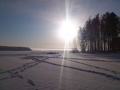冬天, 太阳, 雪, 沉默, 景观, 自然