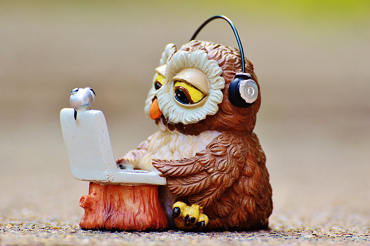 owl, computer, headphones, funny, laptop, notebook, device