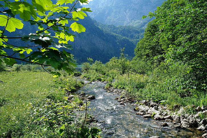 Königssee, Berchtesgaden, Bavyera, salet, güneş ışığı, su, romantizm