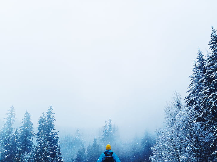 person, blue, jacket, yellow, cap, standing, trees