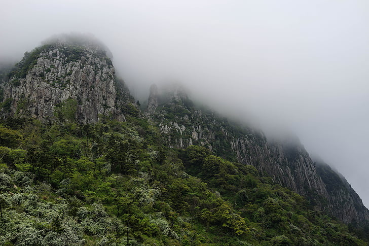 gureumsan, sanbangsan, Insula Jeju, munte, pădure, ceaţă, la începutul anului