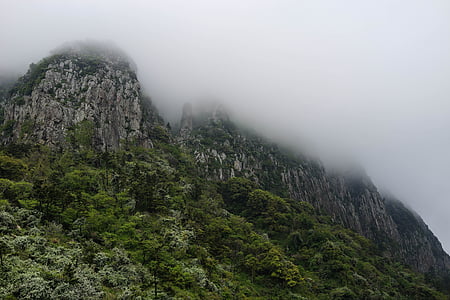 gureumsan, sanbangsan, Jeju Adası, dağ, Orman, sis, erken