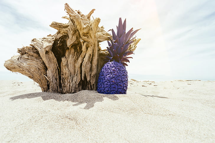 beach, island, ocean, outdoors, pineapple, sand, sea