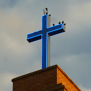 oiseaux, Croix, steeple, Église, bâtiments, chrétienne, architecture