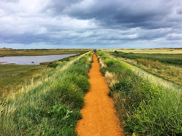 Coast path, kärr, Norfolk, landskap, fältet, Cloud - sky, gräs