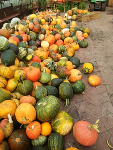 pumpkin, september, autumn, harvest, thanksgiving, vegetables, stack