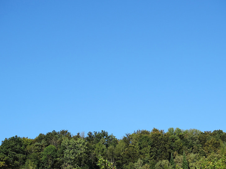 Horizont, Wald-Horizonte, Wald, Hintergrund, Grün, Blau, blauer Himmel