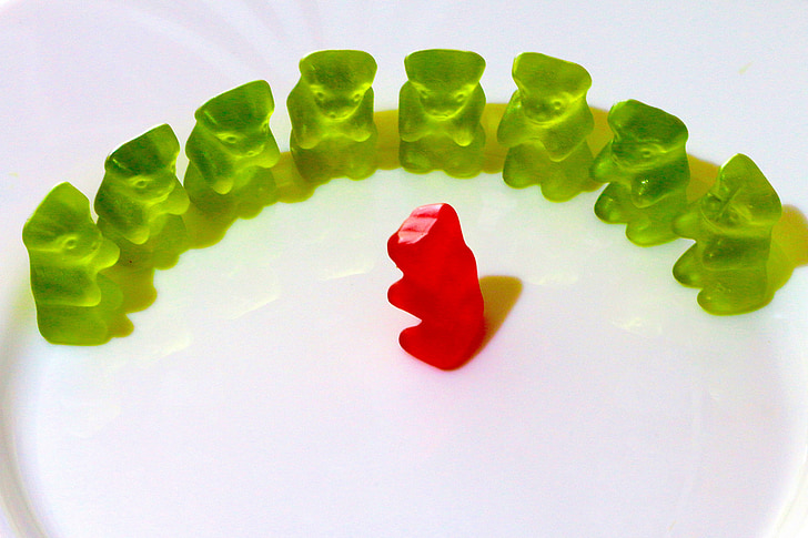 in a semicircle, gummi bears, fruit jelly, listen to, instructions, color