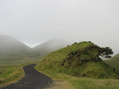tåge, grøn, Hill, tåget, Road, landskab, tåge