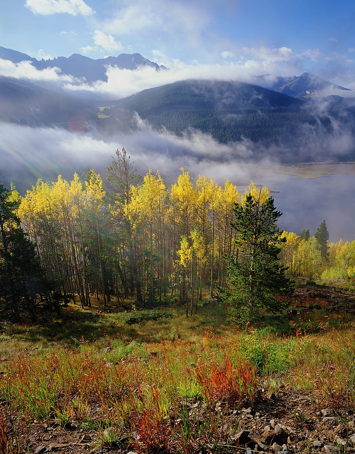 mgła, Aspens, Colorado, upadek, jesień, Natura, góry