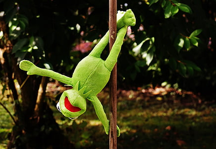 dansa de pol, Kermit, divertit, joguina suau, animal, joguines, animal de peluix