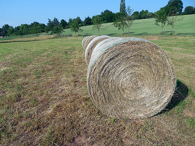 straw, straw bales, round bales, stubble, summer, agriculture, harvest