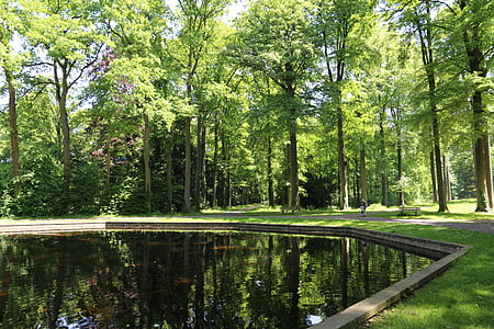 Natur, Wald, Frühling, Teich