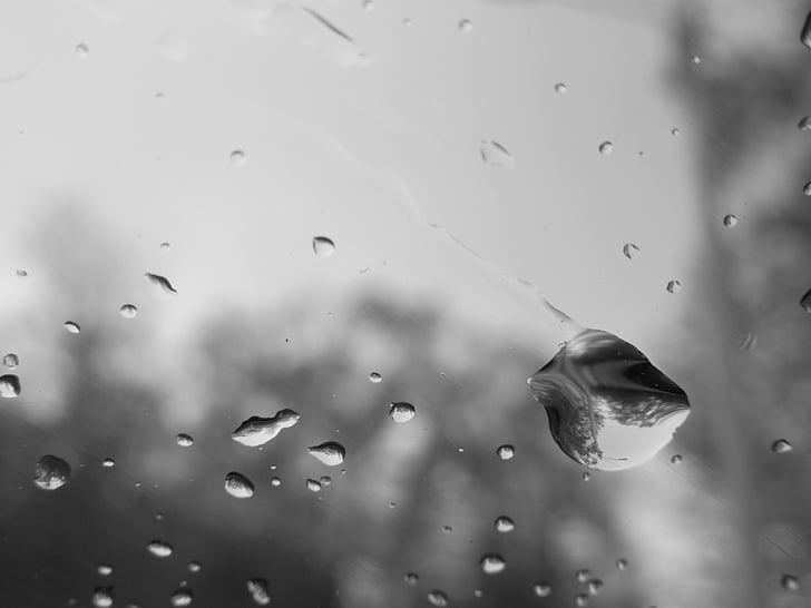pluja, l'aigua, vidre, gotes, parabrisa, pilositat, natura