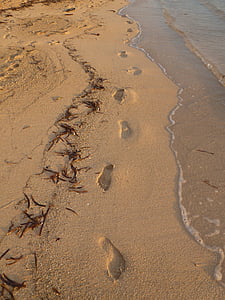footprints, beach, sea, ocean, sand, barefoot, shore