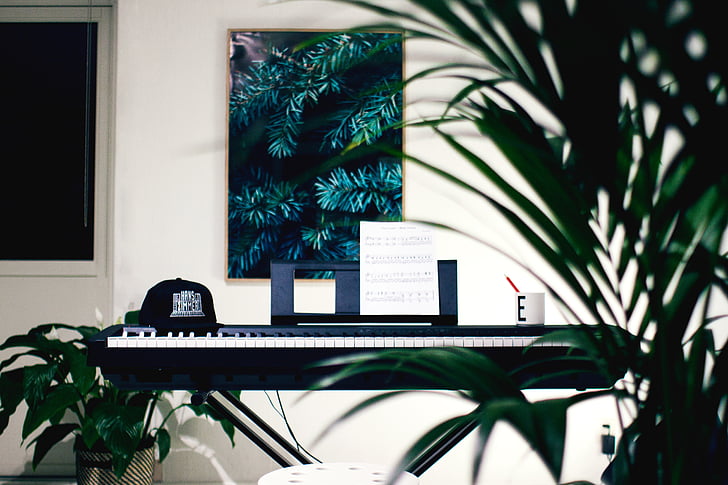 organ, keyboard, interior, plants, nature, house