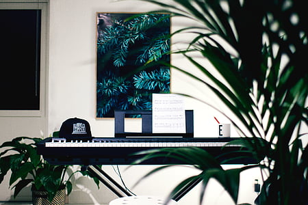 órgano, teclado, interior, plantas, naturaleza, Casa