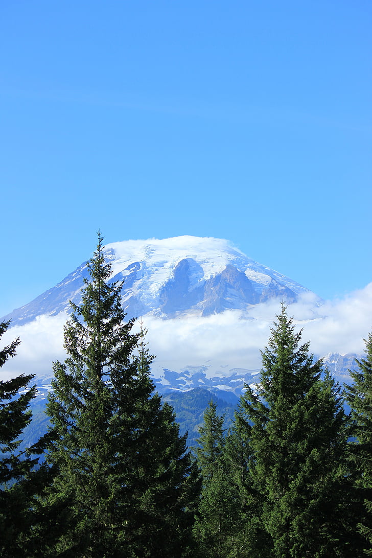 Mountain, MT, Rainier, Washington, Cascade, vandra, natursköna