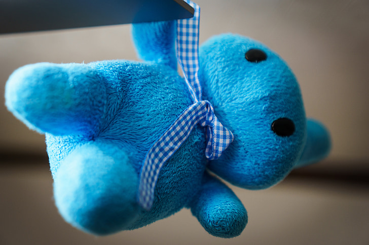 stuffed toy, stuffed animal, teddy, soft, blue, plush, cuddly