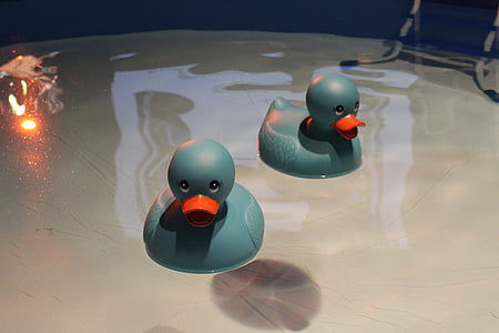 ducky, rubber, bath, toy, cute, play, child