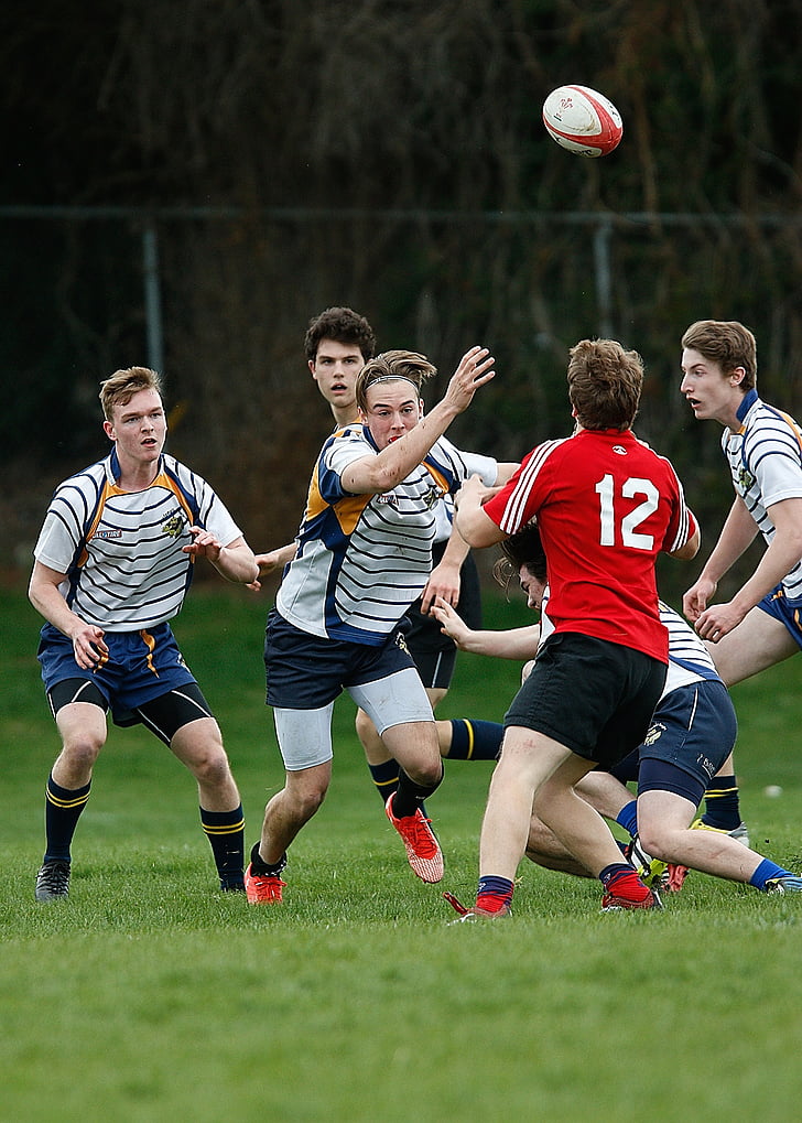 rugby, game, athletes, ball, sport, competition, play