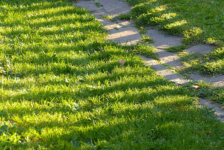 lawn, path, garden, sun, light, grass, shadow