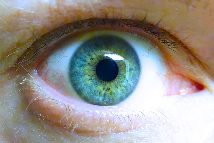Iris, ull, ull blau, pestanyes, globus ocular, tapa, veure