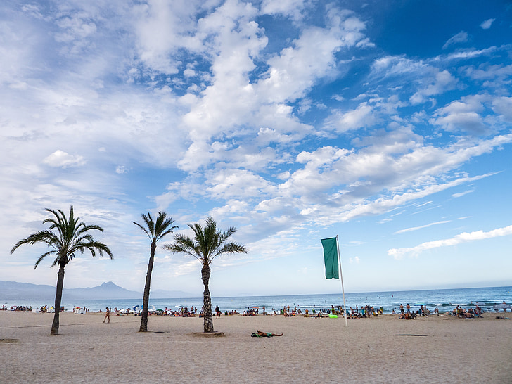pludmale, palmas, smilts, brīvdiena, krēslas, debesis, eksotiski